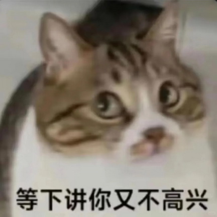 小猫咪表情包