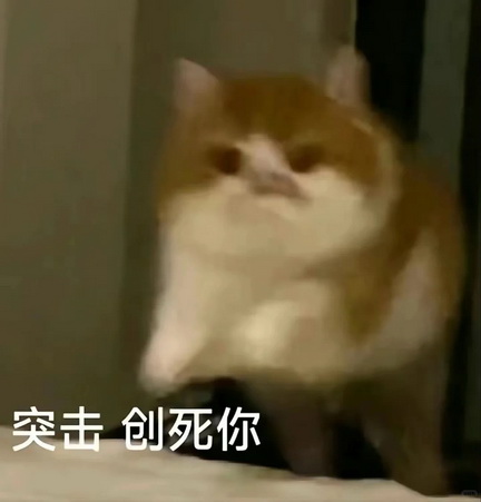 小红书猫咪表情符号动图GIF