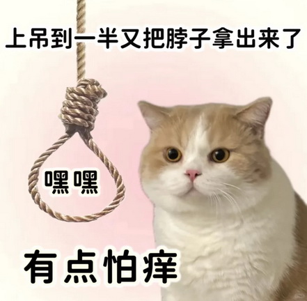 小猫咪表情包