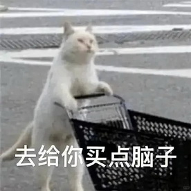 cats表情图片下载