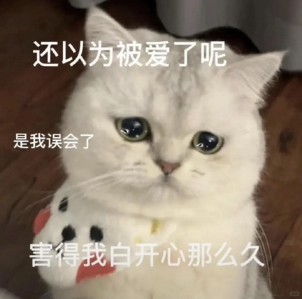 可爱小猫表情包