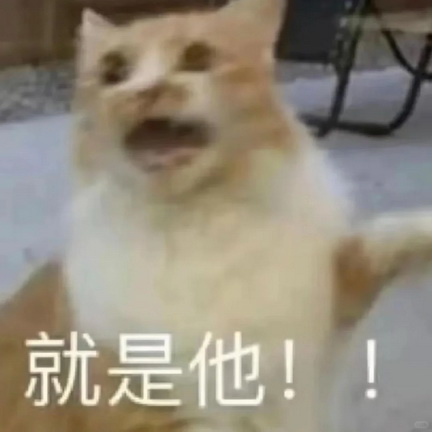 小猫咪表情包