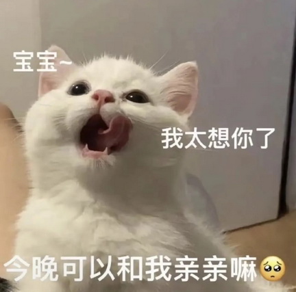 猫咪抽象Emoji搞笑表情