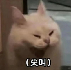 可爱小猫表情包
