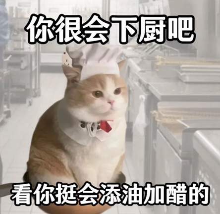 小猫咪表情包