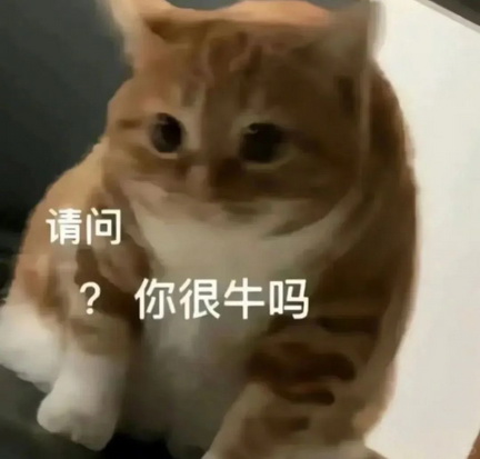 小红书猫咪表情符号动图GIF