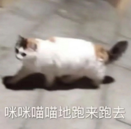 cats表情图片下载