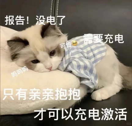 猫咪抽象Emoji搞笑表情