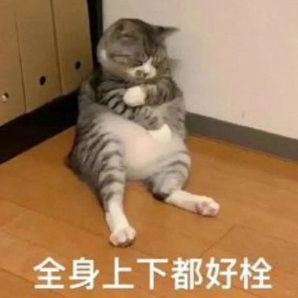 cats表情图片下载