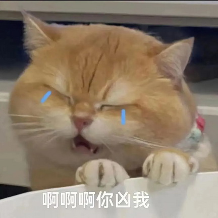 可爱小猫表情包