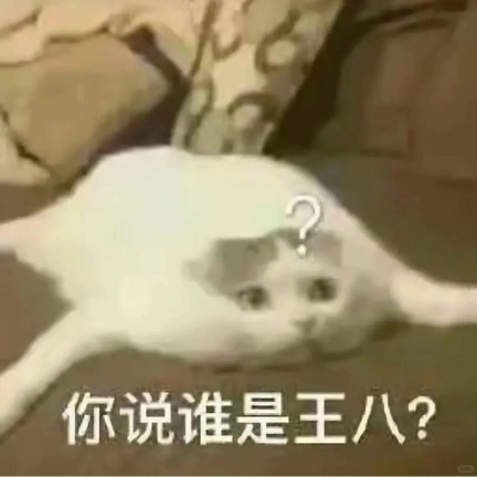 小猫咪表情包