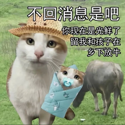猫咪抽象Emoji搞笑表情