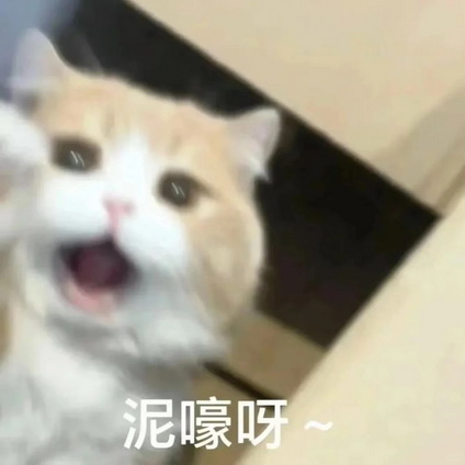 小红书猫咪表情符号动图GIF