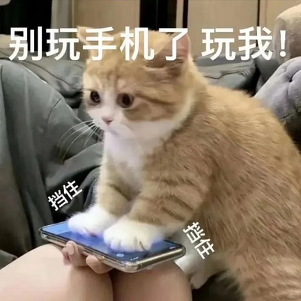 cats表情图片下载