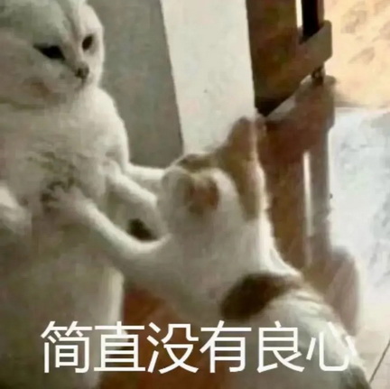 可爱小猫表情包
