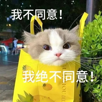 可爱小猫表情包
