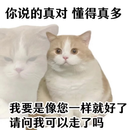 猫咪抽象Emoji搞笑表情