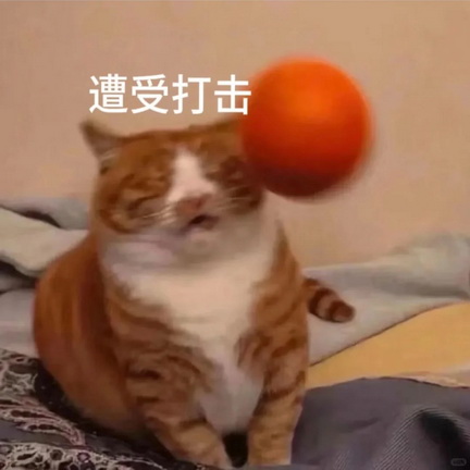 cats表情图片下载
