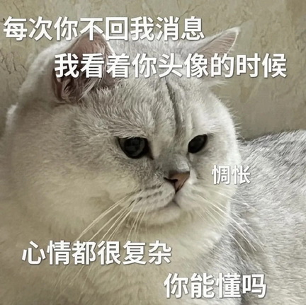 小猫咪表情包