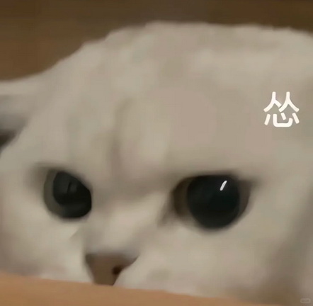 猫咪抽象Emoji搞笑表情