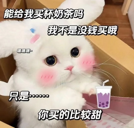 小红书猫咪表情符号动图GIF