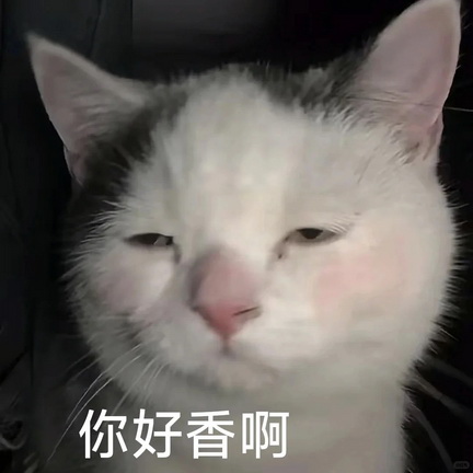 cats表情图片下载
