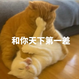 可爱小猫表情包
