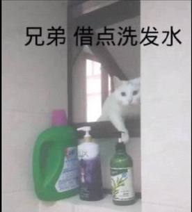 猫咪抽象Emoji搞笑表情