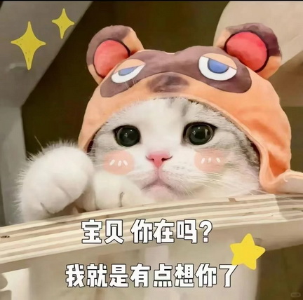 cats表情图片下载