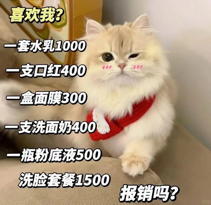 猫咪抽象Emoji搞笑表情