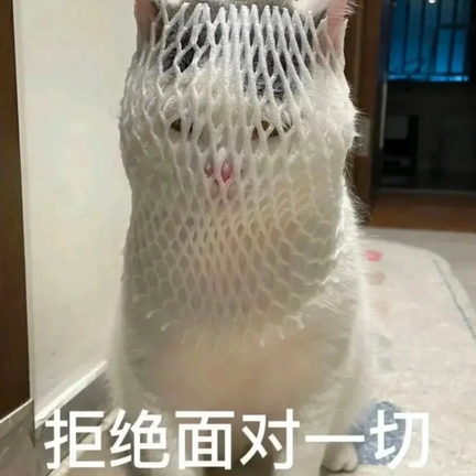 小红书猫咪表情符号动图GIF