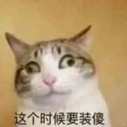 cats表情图片下载