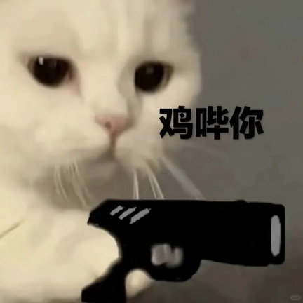 可爱小猫表情包