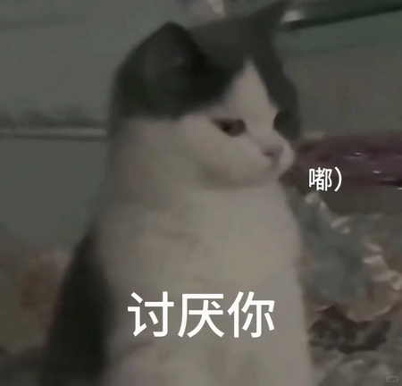 猫咪抽象Emoji搞笑表情