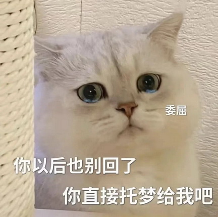 cats表情图片下载