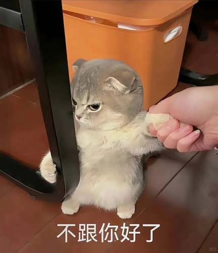 可爱小猫表情包