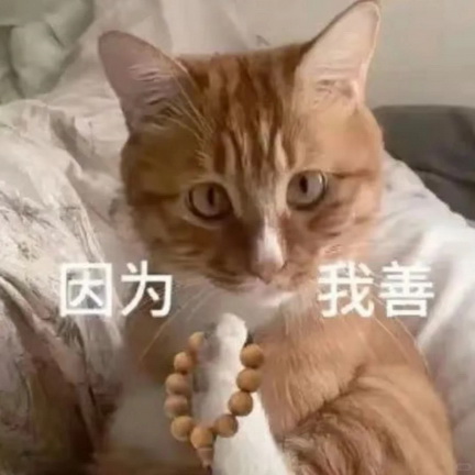 猫咪抽象Emoji搞笑表情