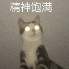 小红书猫咪表情符号动图GIF