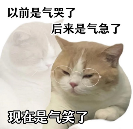 可爱小猫表情包