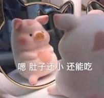 肚子还小还能吃小猪表情包下载