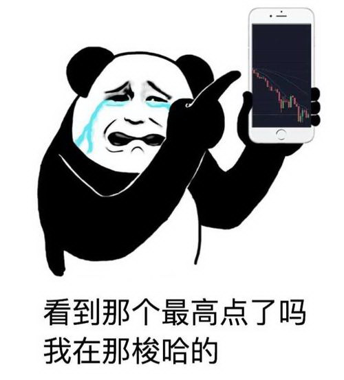 币圈暴涨暴跌最高点梭哈表情 加密币K线 百倍涨幅 gif动图下载