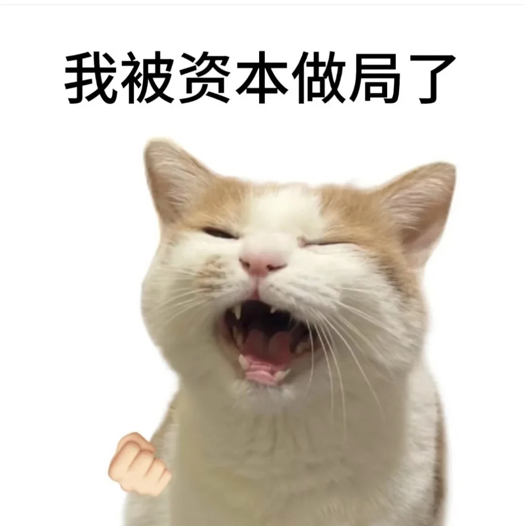 huisuonenmo04