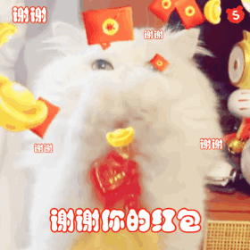 谢谢你的红包表情包