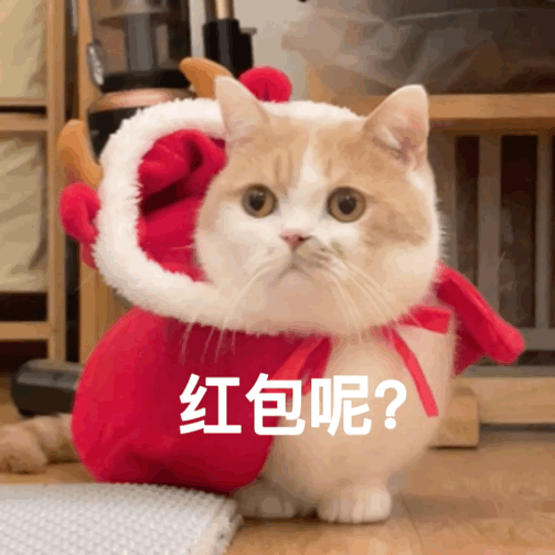 抢红包搞笑QQ表情
