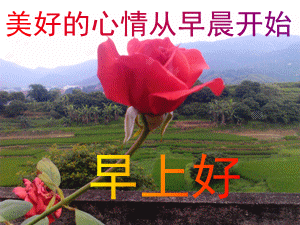 早安问候表情包贴纸第1张 美好的心情从早晨开始