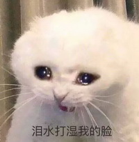 泪水打湿我的脸大哭表情包