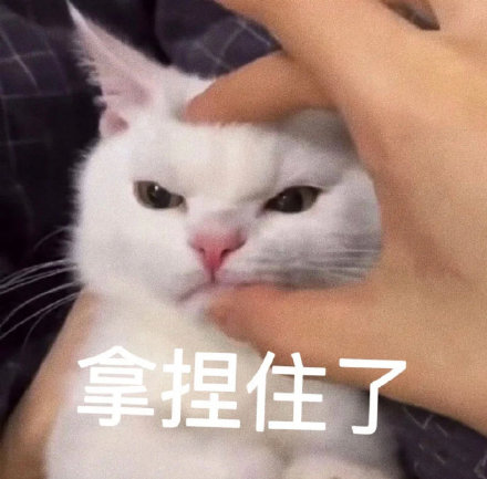 拿捏住了表情大全