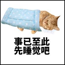 事已至此先睡觉吧表情包