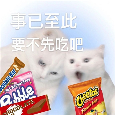 事已至此先吃吧表情大全