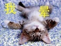 我晕表情
